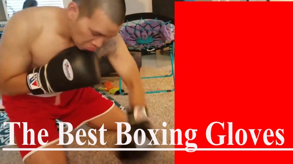 Best Boxing Gloves for Beginners